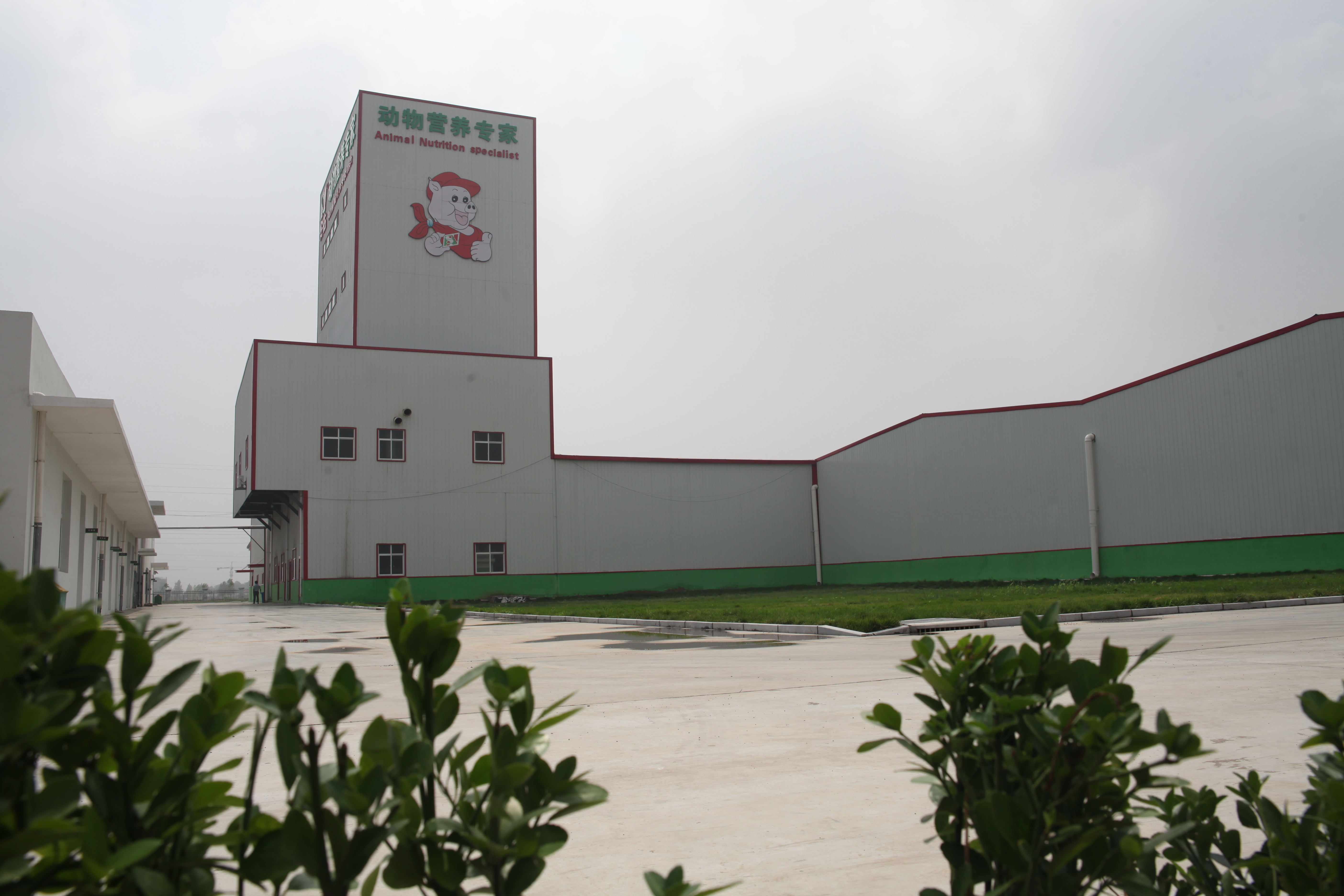 安佑生物科技集團(tuán)股份 技術(shù)咨詢引領(lǐng)產(chǎn)業(yè)創(chuàng)新之路